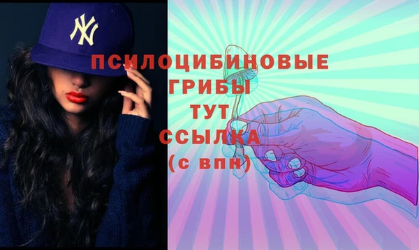 стаф Ладушкин