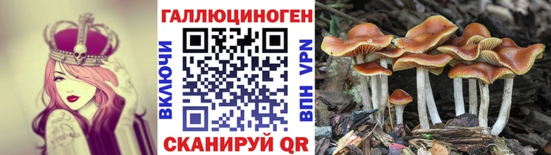 Псилоцибиновые грибы Cubensis  Называевск 